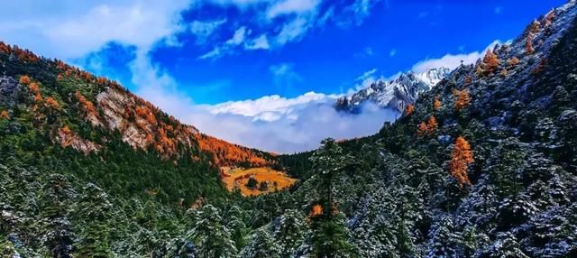 它都这么美了！差点忘记推给你了