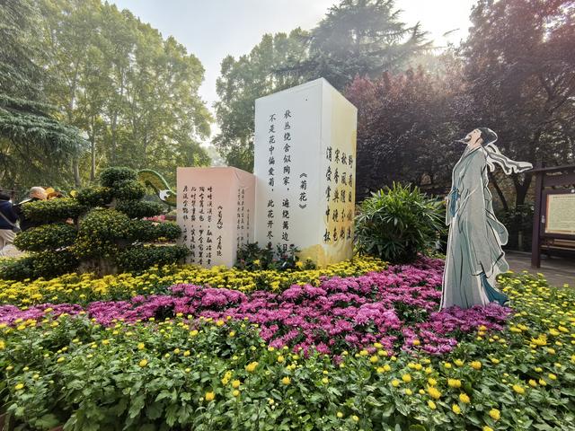 想要漫步菊海？请来郑州人民公园共赴跨越千年的文化对话