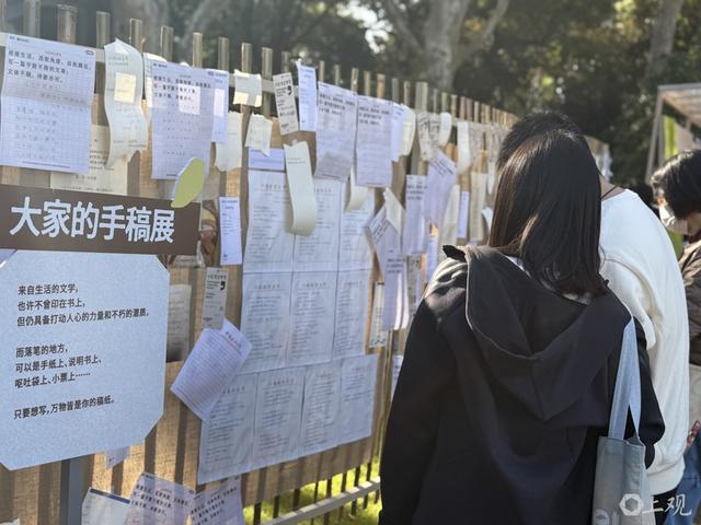 阳光正好，风很温柔，上海的秋天，阅读让人怦然心动