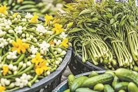 16种常规蔬菜价格小幅下跌，济南“菜篮子”变轻了图片