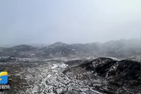 雪花纷飞 龙口市境内之莱山脉银装素裹图片