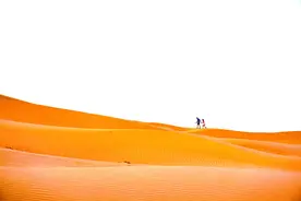 在利瓦沙漠寻找世界最美沙丘图片