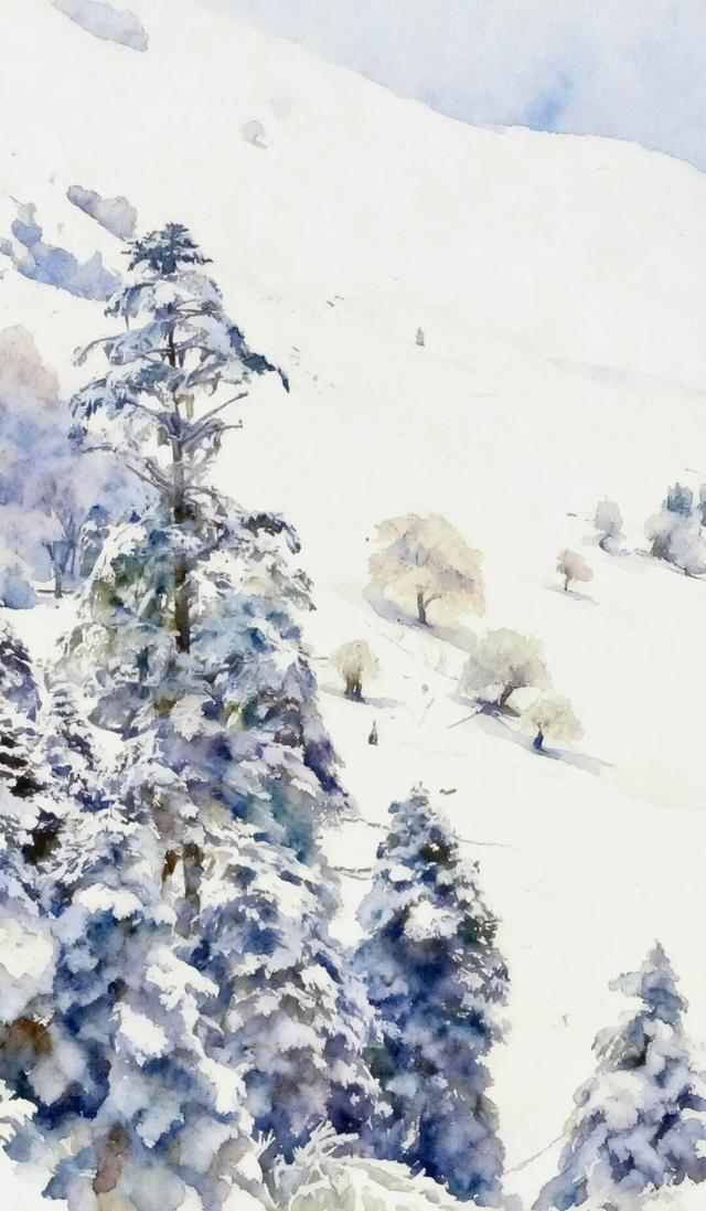 【丽江分享】大雪：人间至此雪盛时 岁暮天寒问冬安