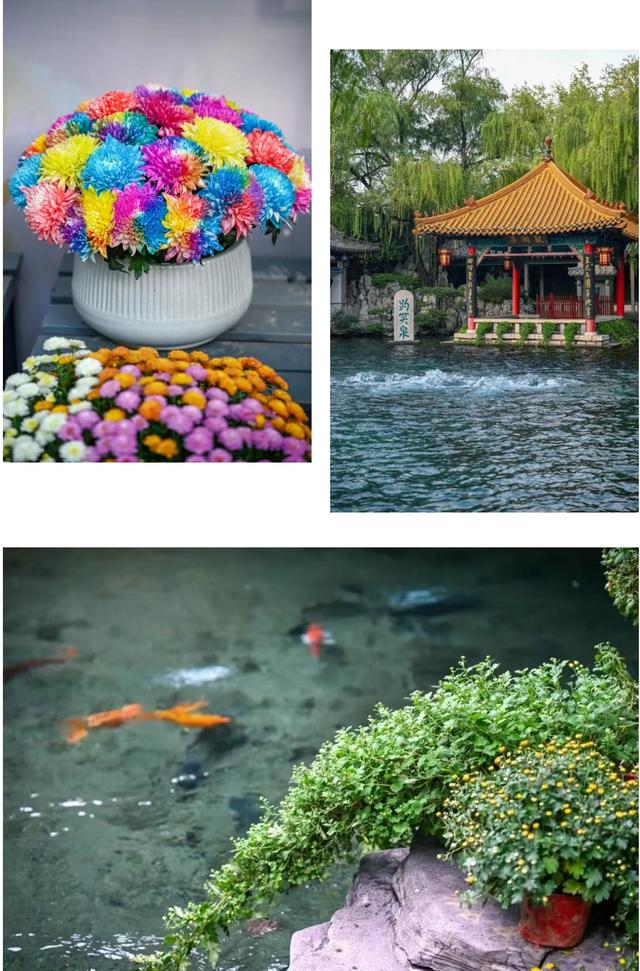 走，去趵突泉！收集秋天最靓的九宫格～