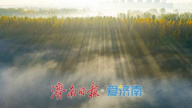 换个视角瞰济南，黄河平流雾美成“云端仙境”