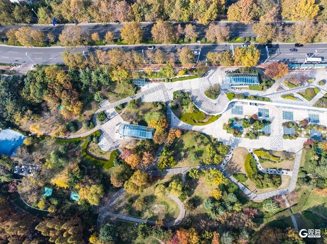 海韵+汇筑+绮景！青岛初冬的浪漫被具象化了