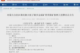 矿权推介｜矿业权招拍挂出让公告信息（第六十三期）图片