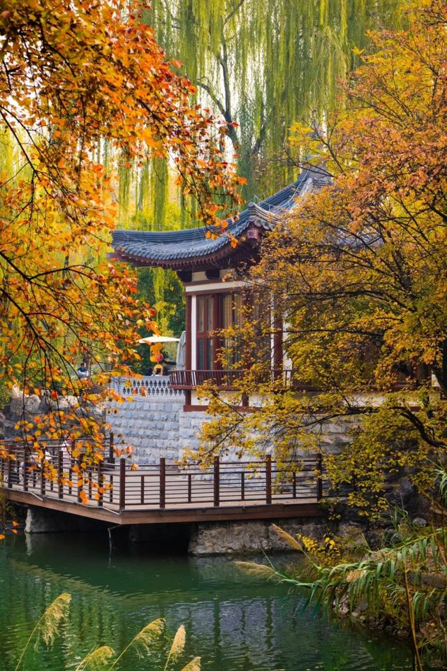 美绝！西安初冬的含金量还在上升！