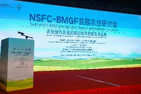 将现代技术注入土豆和水稻，中国科学家为非洲粮食安全出谋划策图片