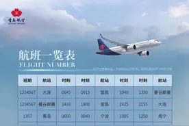 好消息！青岛航空新增加密多条国内国际航线图片