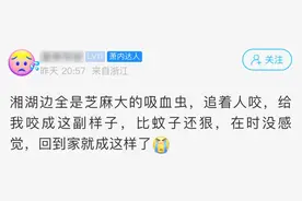 这个“吸血鬼”，比蚊子还猛还难缠！最近很多人中招图片