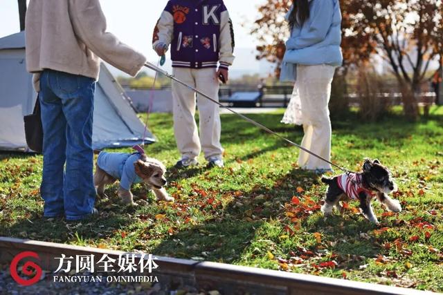 周末遛弯到石景山（本山）！逛古建筑、打卡网红永定河集，来一场超时空对话