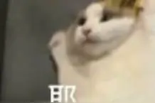 春假来啦，连休5天！还有更长的......图片