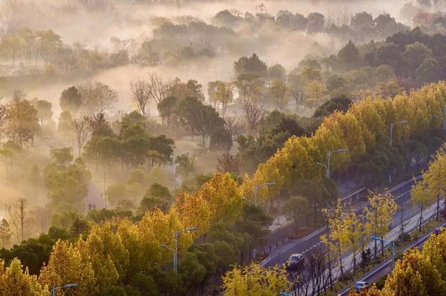 南通这里又要火了！每天清晨，不少人赶去打卡