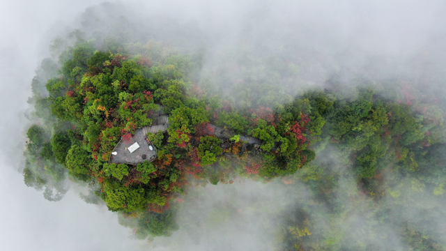 湖北有礼 | 免费领门票！打卡三峡红叶季，赴柴埠溪、百里荒金秋浪漫之约