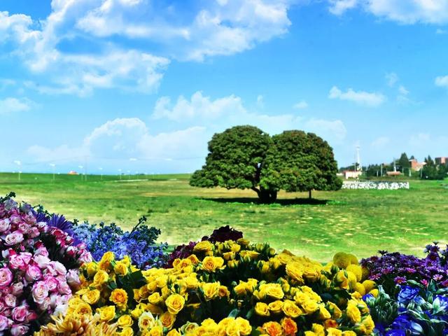 多图直击！“北江之恋・朝夕有你”夕阳音乐嘉年华热力开唱！