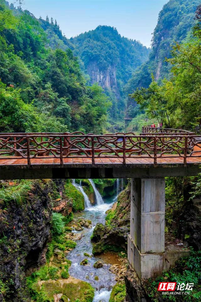 【每日一图@湖南】在古苗河百瀑大峡谷，山水滤尽了冬日的锋芒