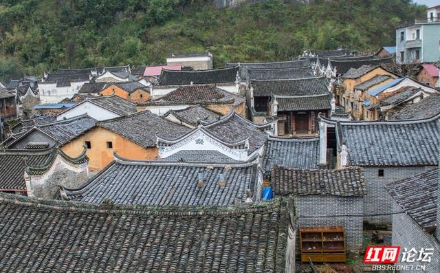 岁暖时刻丨寻访"爱莲说"的诞生地：秋色浸染的道县楼田村