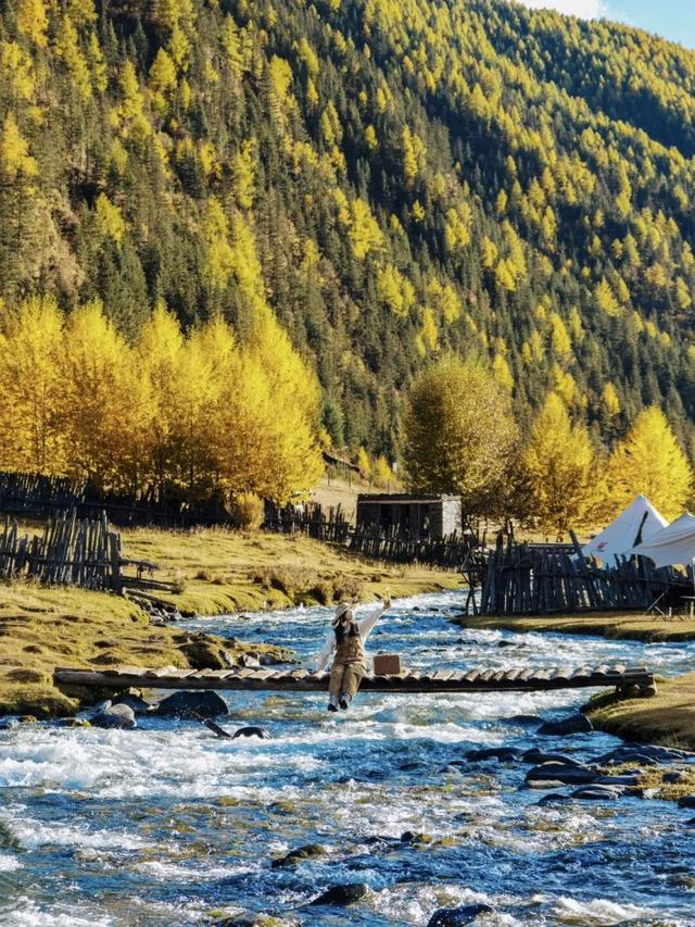 听说放秋假了？新都桥这波秋日余温太美了