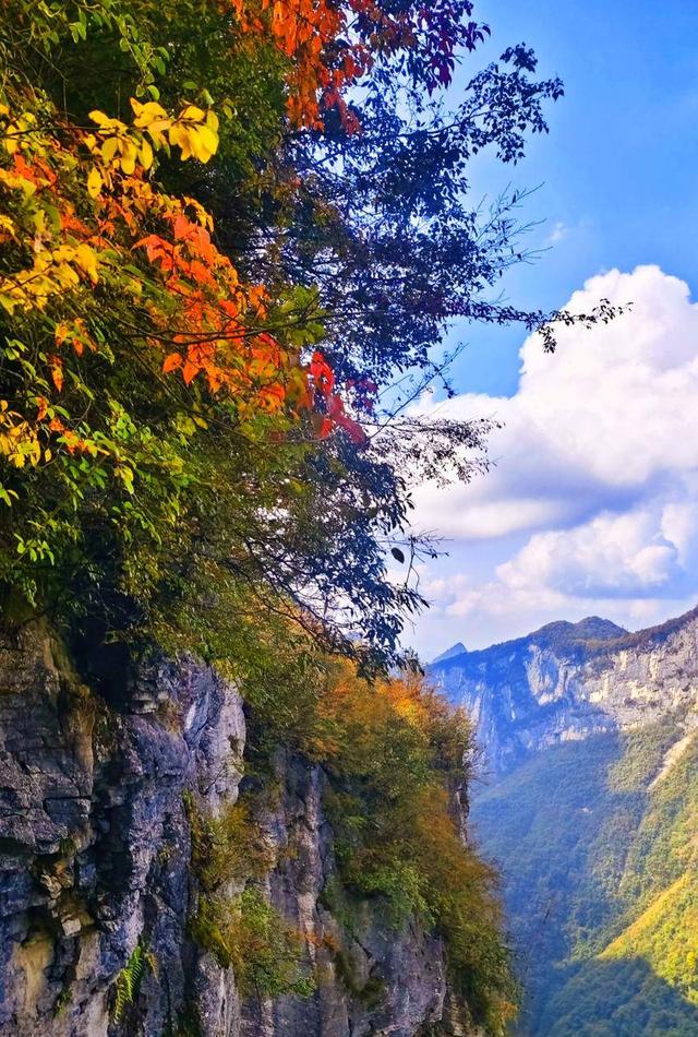 鹤峰八角岩的晚秋：绝壁丹霞染秋色 层林尽染绘诗意