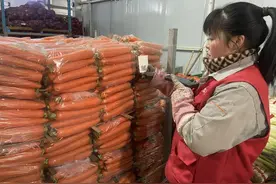 新华视点·关注粮食浪费丨不少蔬菜水果进了垃圾桶，如何减少损耗浪费？图片