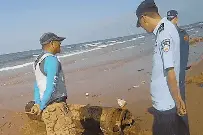 海上漂来不明物体，竟是甲午战争时期鱼雷图片