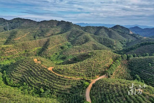 广东厚植绿色家底，释放生态红利