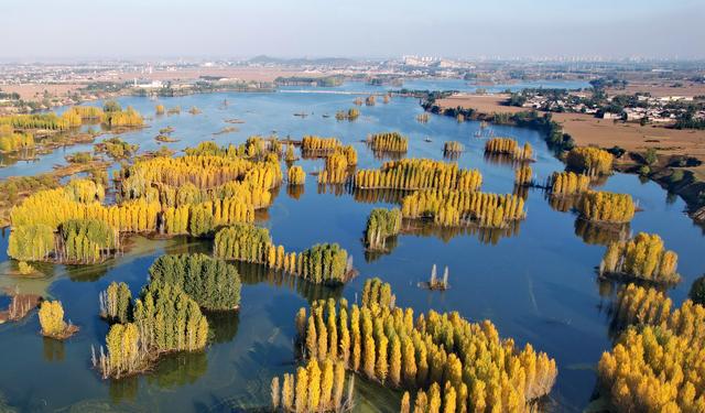 河北隆尧：初冬泜河风光秀美