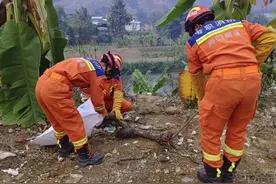 热闻|冬眠结束，两米长的蟒蛇出来“拜年”，吓坏村民！还好他们出手了图片