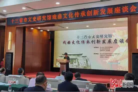 感受元曲之乡魅力 共话戏曲传承创新 十三省市文史专家学者相聚正定古城图片