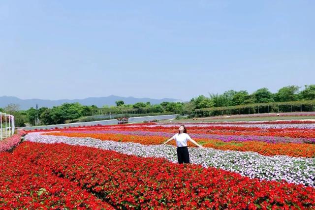 喜报！西南街道、南山镇，河口社区、六和村入选佛山文旅特色镇村