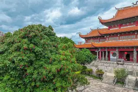 夏日限定！福州千年古刹荔枝红了！图片
