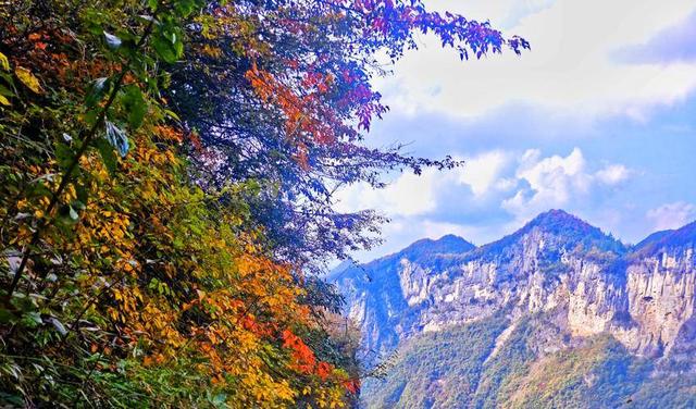鹤峰八角岩的晚秋：绝壁丹霞染秋色 层林尽染绘诗意