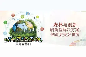 世界森林日，来看一场精彩的 “固碳马拉松”比赛！图片