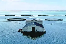 高原与黄河 共抚“海之味”图片