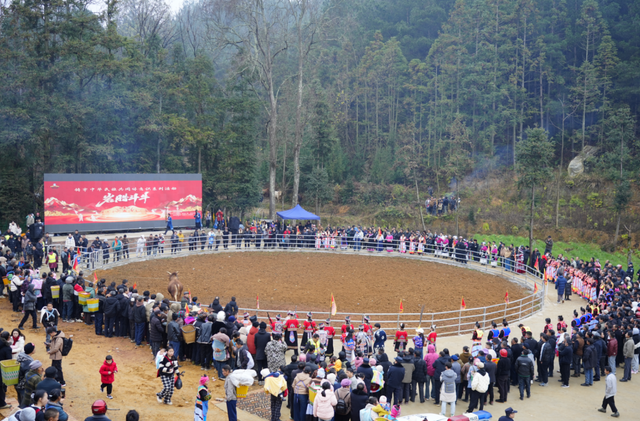 最全攻略，超全玩法！西秀区推出上百场“冬民俗”系列活动！