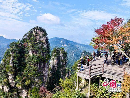 张家界武陵源：层林尽染秋意酣赴约赏景正当时