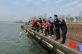 “安家”青浦元荡，万尾鱼苗来啦！图片