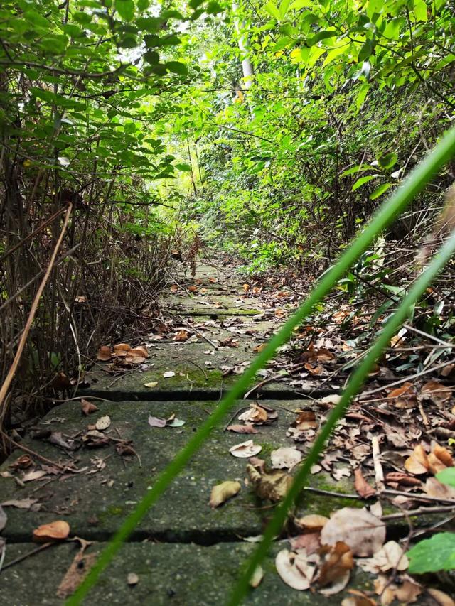 游天台山日记 + 椒江西山小行记