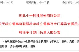 湖北中一科技股份有限公司独立董事王荣进辞职图片