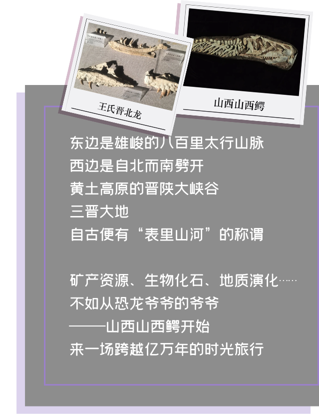 出发，去逛博物馆！