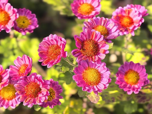 冬日的北京路县故城遗址公园：萧瑟中的浪漫