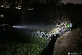 “我奶奶的最强手机”火出圈！网友辣评：手电筒像车灯图片