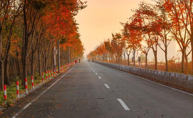 江苏东海：湿地公园冬景绚丽