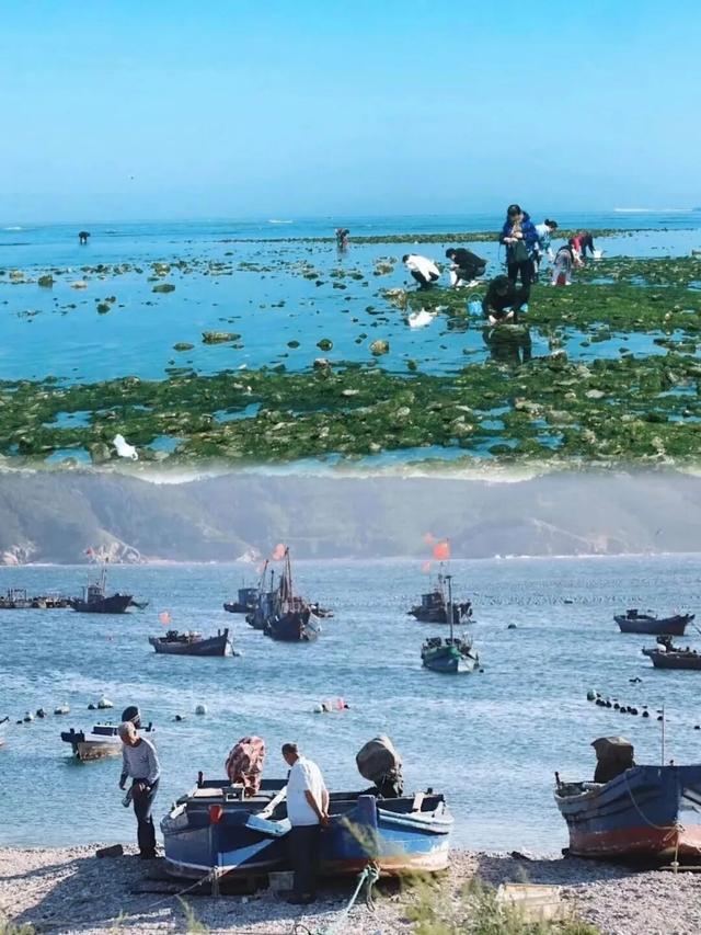 真“惠”玩！蓬莱秋冬旅游攻势展开，解锁“神仙生活”新体验