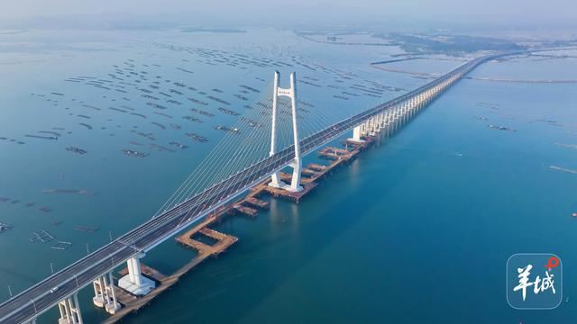 绵长海岸线撬动“海洋文旅+”！广东正以空前力度推动海洋旅游深度转型