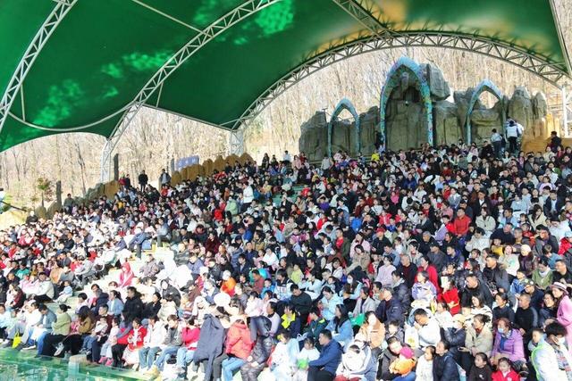 猿猴住进“湖景房” 东北虎春节迎客 武汉野生动物王国让游客体验全面升级