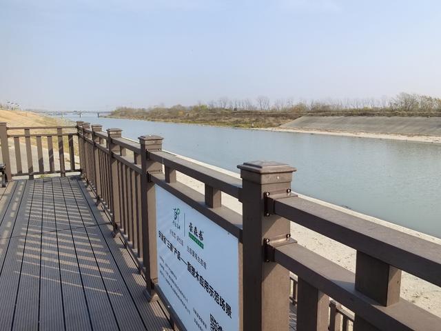 合肥滨湖国家森林公园马家渡观景平台换上高科技“新装”