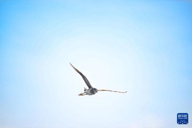 南海影像日志丨南海美如画