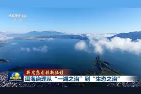 新思想引领新征程丨洱海治理从“一湖之治”到“生态之治”图片